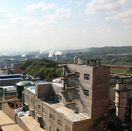 發展現狀及未來規劃