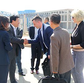 ******轉型發展基本情況